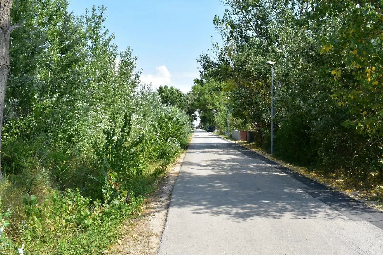 Apartment Apartman Nin-Dodo Croatia